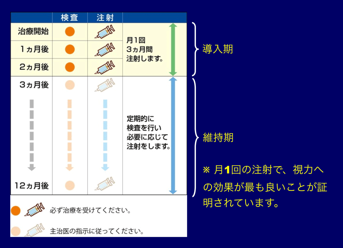 ルセンティス治療のスケジュール