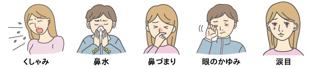 花粉によるアレルギー症状