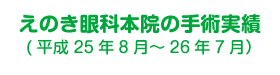 えのき眼科本院の手術実績